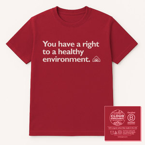 You Have a Right to a Healthy Environment T-Shirt